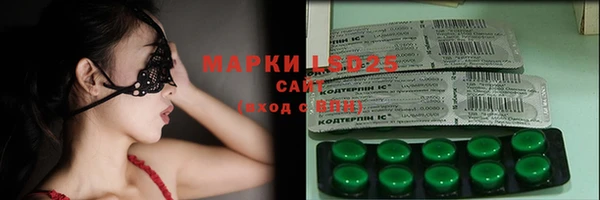 эйфоретик Баксан