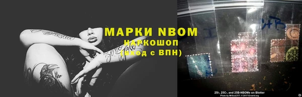 эйфоретик Баксан
