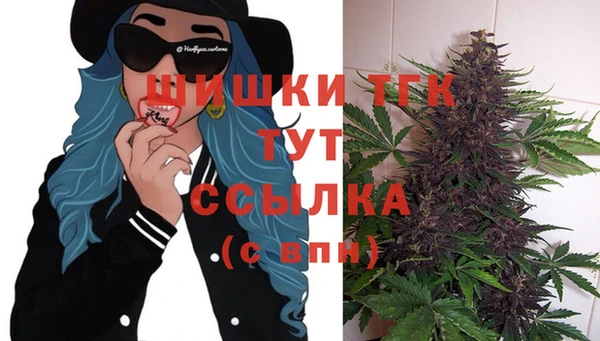 гашик Балахна