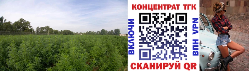 где продают наркотики  Коряжма  Дистиллят ТГК гашишное масло 